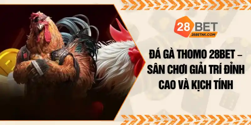 Đá Gà Thomo 28BET – Sân Chơi Giải Trí Đỉnh Cao Và Kịch Tính