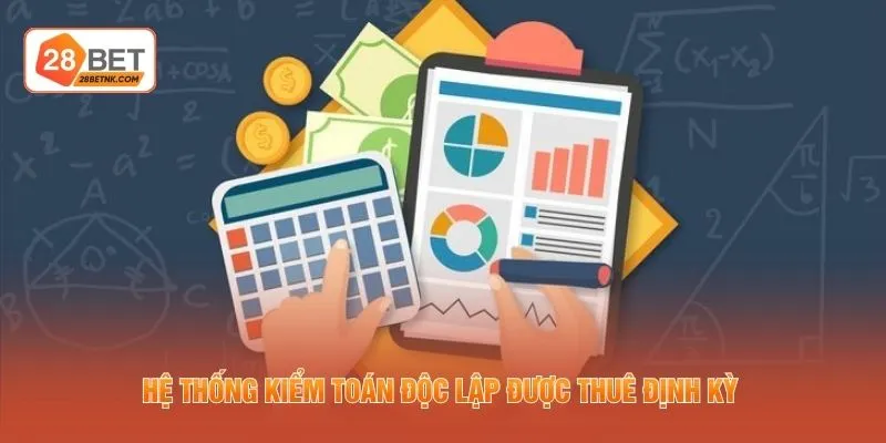 Hệ thống kiểm toán độc lập được thuê định kỳ 