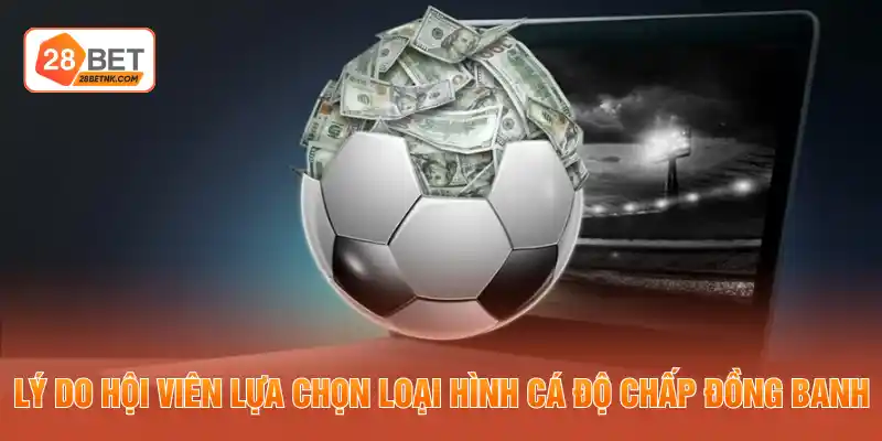 Lý do hội viên lựa chọn loại hình cá độ chấp đồng banh